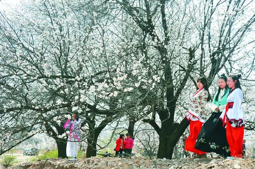 维多利亚老品牌vic119 经典形象展示